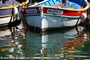 Cassis (13)
