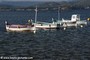 bateaux - Le Brusc (83)