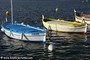 bateaux - Le Brusc (83)