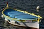 bateaux - Le Brusc (83)