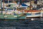 bateaux - Le Brusc (83)