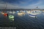 bateaux - Le Brusc (83)
