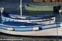 bateaux - Le Brusc (83)