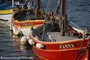 bateaux - Le Brusc (83)