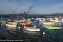 bateaux - Le Brusc (83)