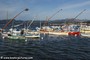 bateaux - Le Brusc (83)