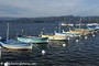 bateaux - Le Brusc (83)