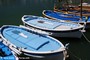 Cassis (13)