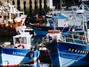 Douarnenez