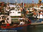 Noirmoutier